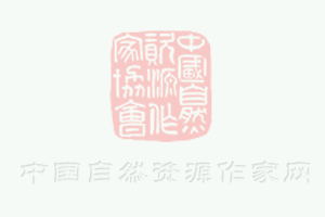 氧化鋁陶瓷耐高溫與哪些因素有關(guān)呢？（圖）